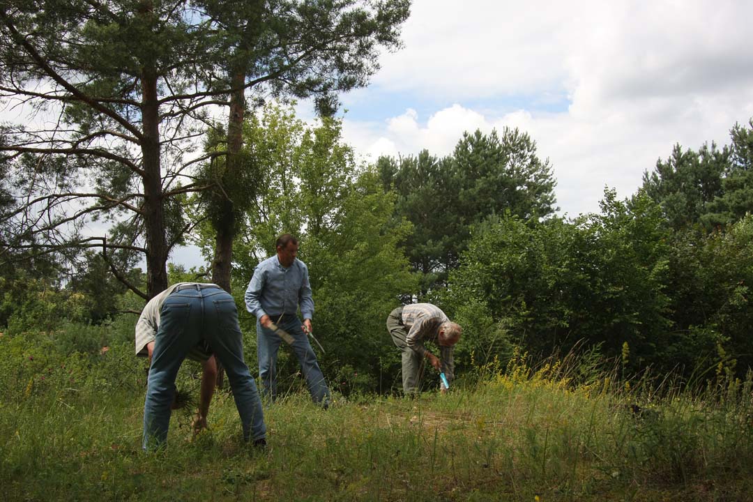 [Düne+an+den+Schenkenäckern+1+small.jpg]