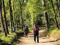 Caminada de les Guilleries 2010