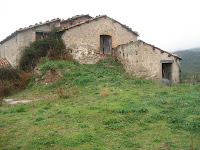 Cal Pallot