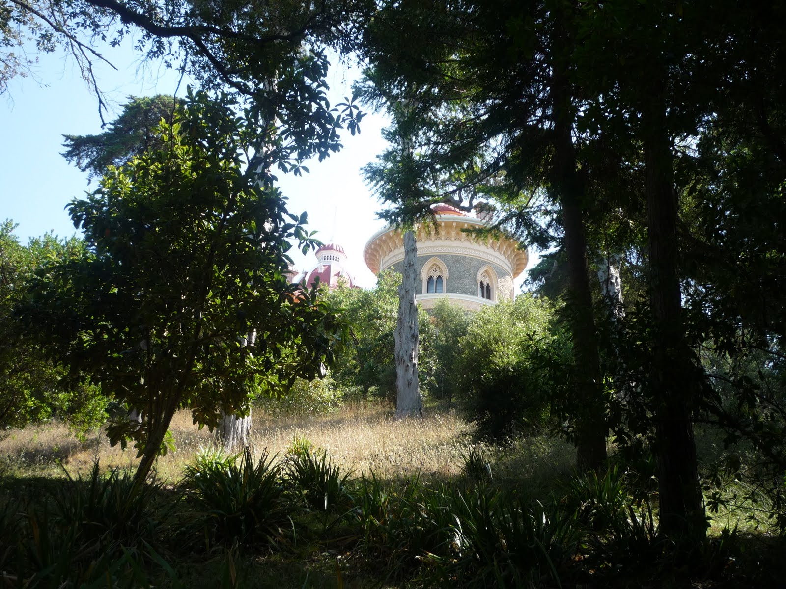[P1000524.JPG]