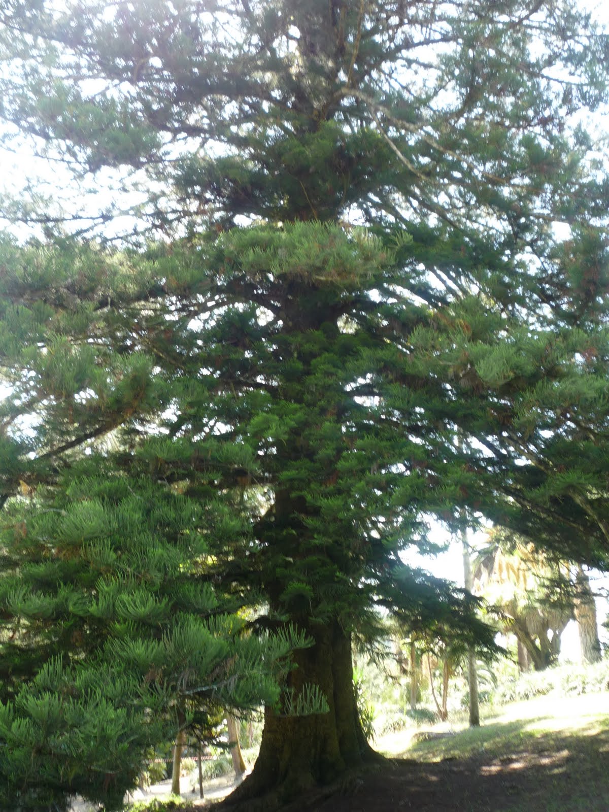 [P1000505.JPG]
