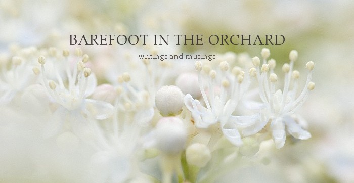 barefoot in the orchard