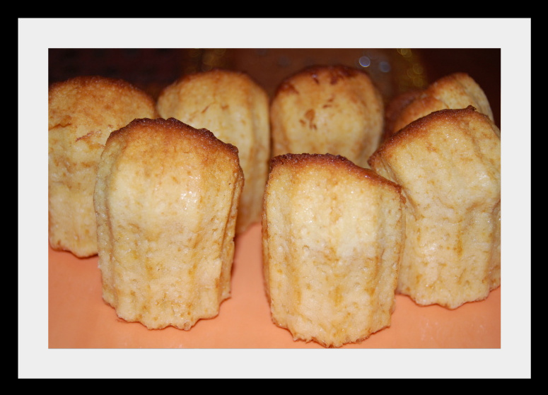 [Quequesdeliciosos-1.jpg]