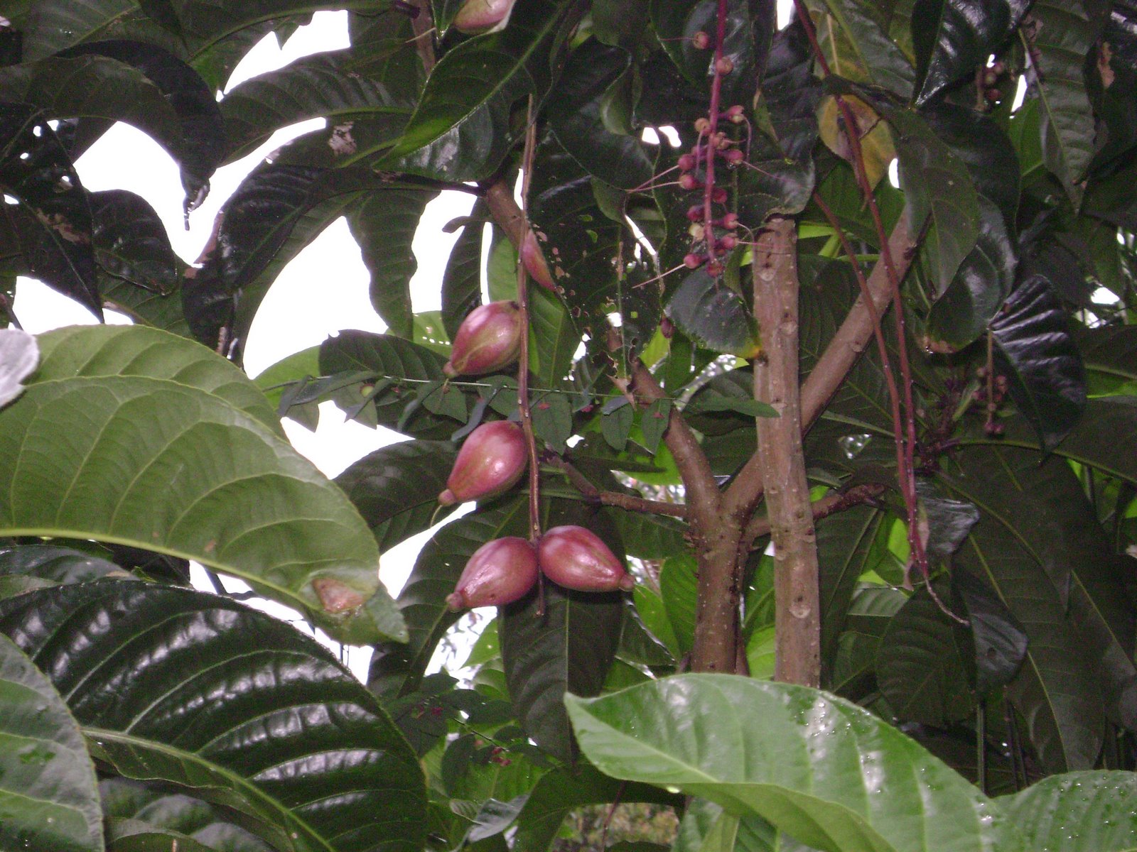 ~ SaTu peRmUlaAn YAng bAiK ~: August 2010