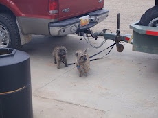 Cimarron Getting Gas