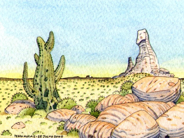 [Arizona.jpg]