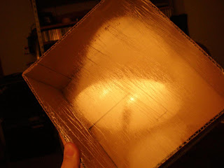 P8130010+%28Large%29.JPG