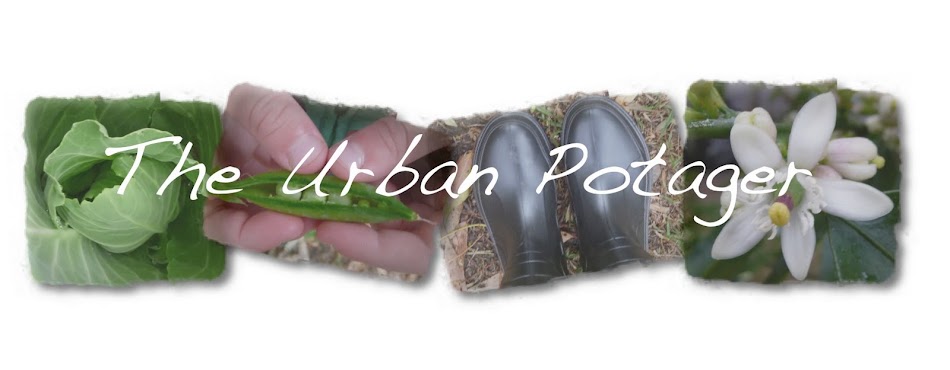 The Urban Potager