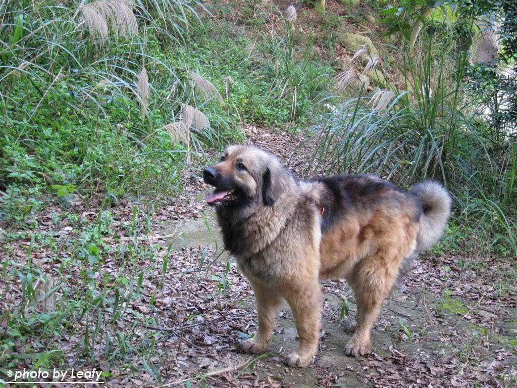 [IMG_1240+(Large).jpg]