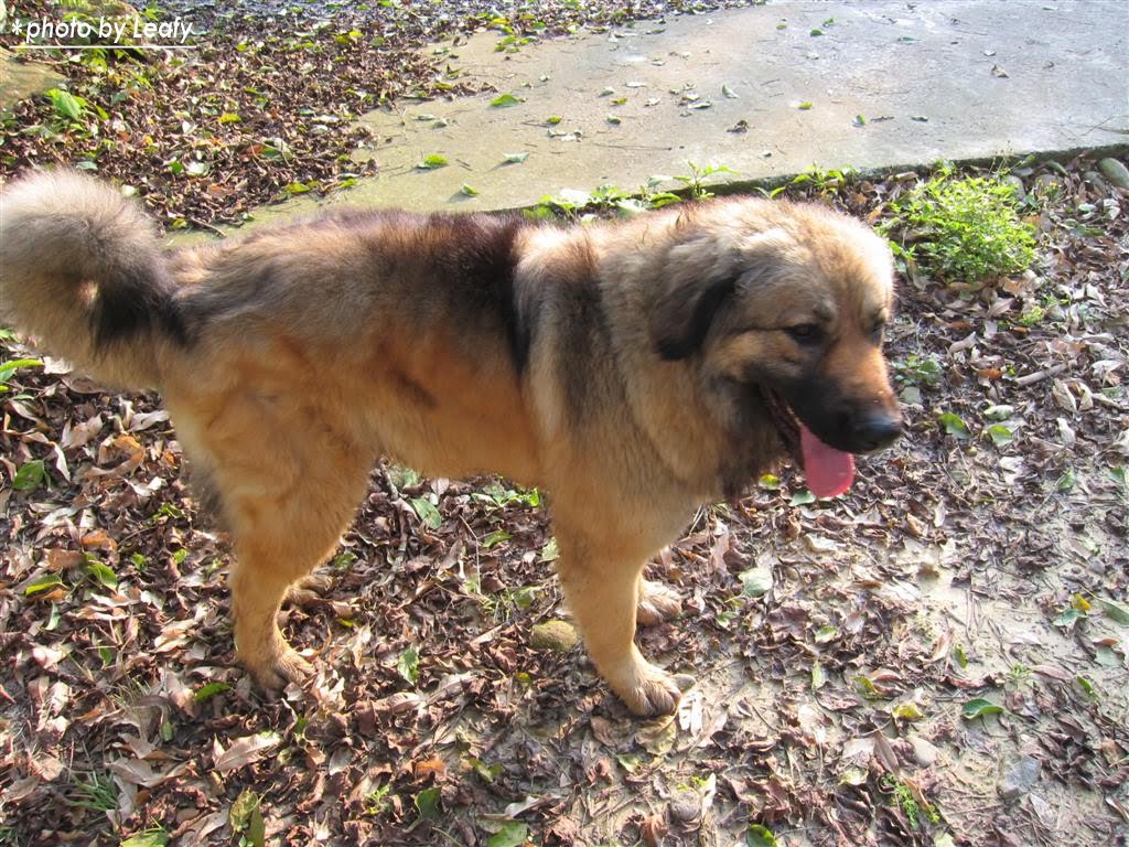 [IMG_1259+(Large).jpg]