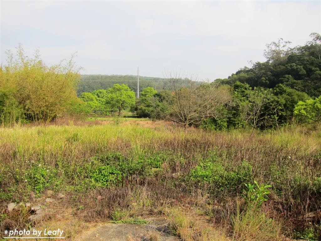 [IMG_1215+(Large).jpg]