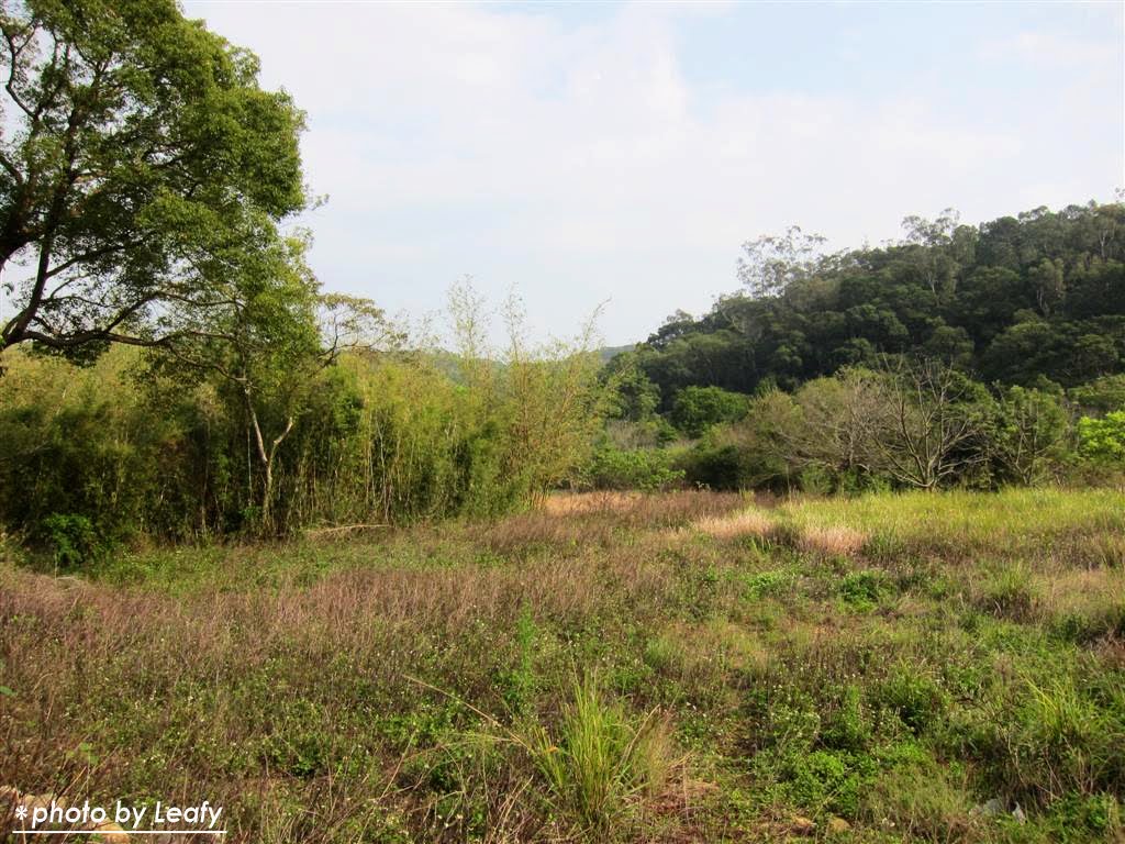 [IMG_1213+(Large).jpg]