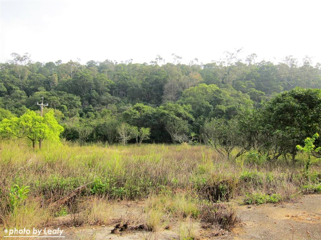 [IMG_1216+(Large).jpg]