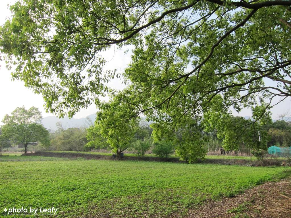 [IMG_1235+(Large).jpg]