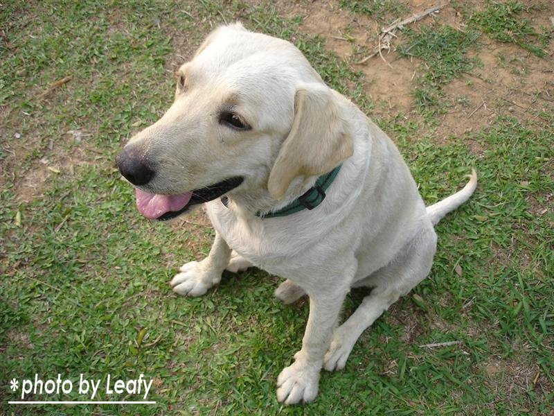 [照片+4728+(Medium).jpg]