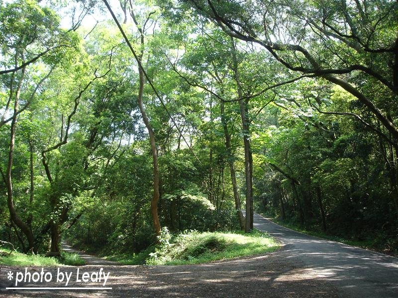 [照片+4715+(Medium).jpg]