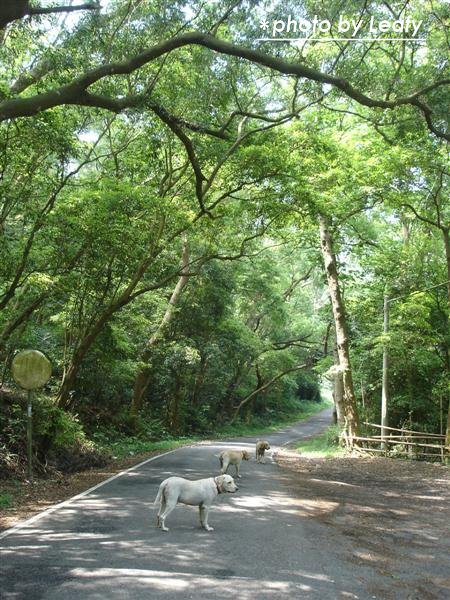 [照片+4725+(Medium).jpg]