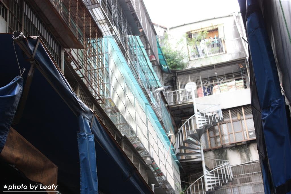 [IMG_6437+(Large).jpg]