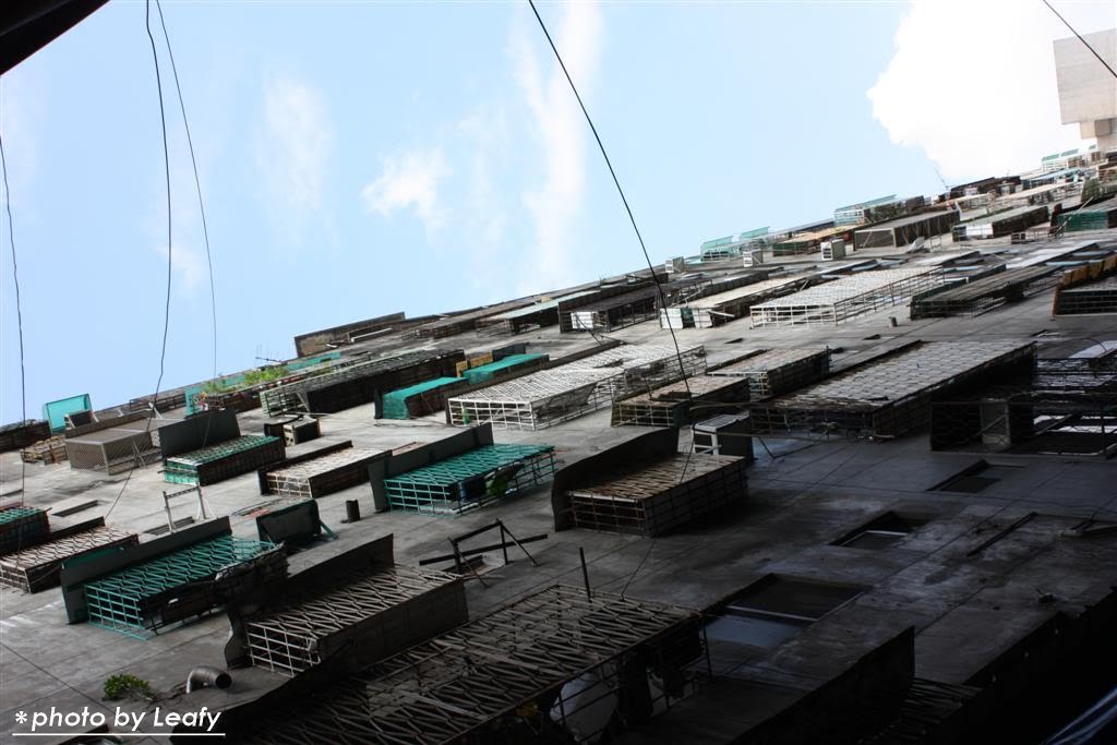 [IMG_6445+(Large).jpg]