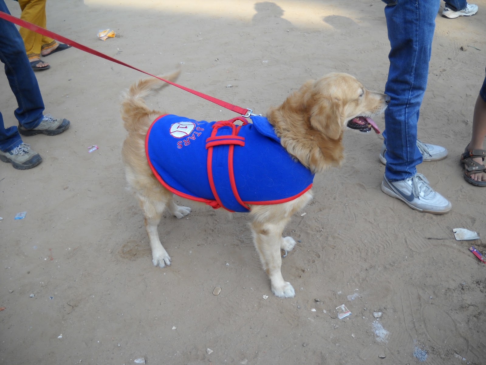 Pet Shop Ahmedabad Dog show in ahmedabad gujarat india