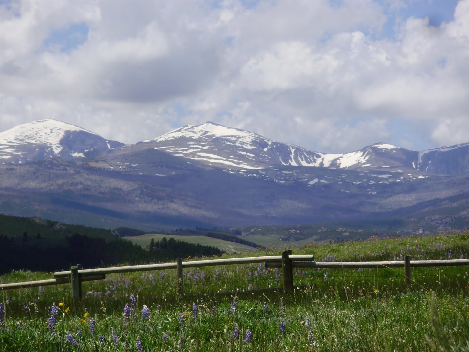 Life at 55 mph Cloud Peak Skyway in Bighorn National Forest, Wyoming