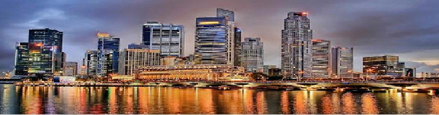 Chris Yaw (+65) 8383 6751-  Singapore Real Estate Consultant