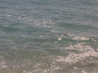 mare sporco a ore 12 aore12