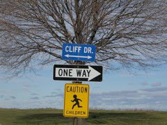Christine Mauersberger A Tree On Cliff Drive