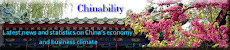 Chinability web site