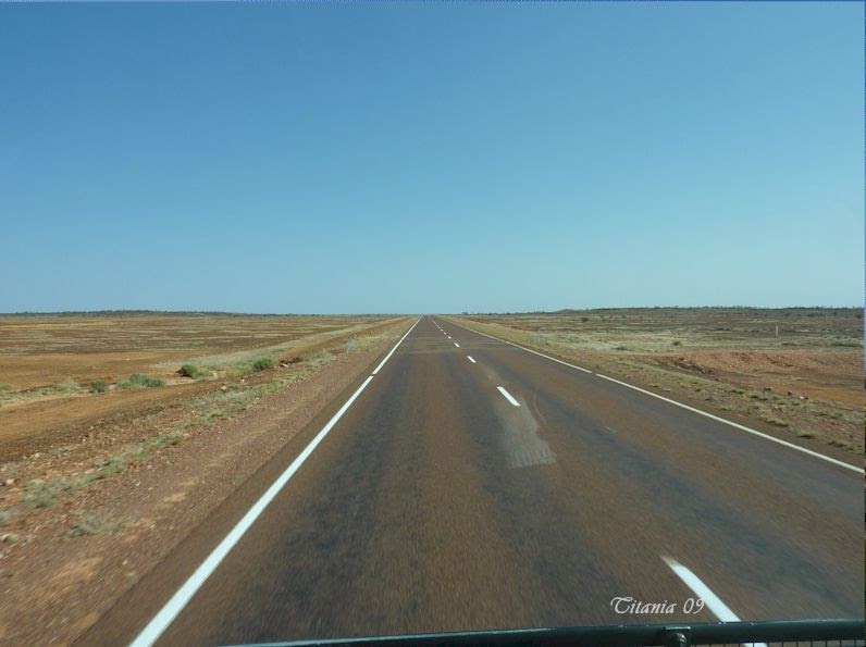 yesterday today and tomorrow In my garden: The painted Desert;