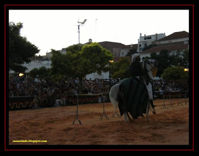 Australian Shepherd in Silves