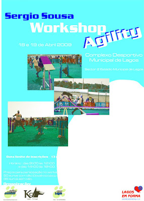 workshop agility