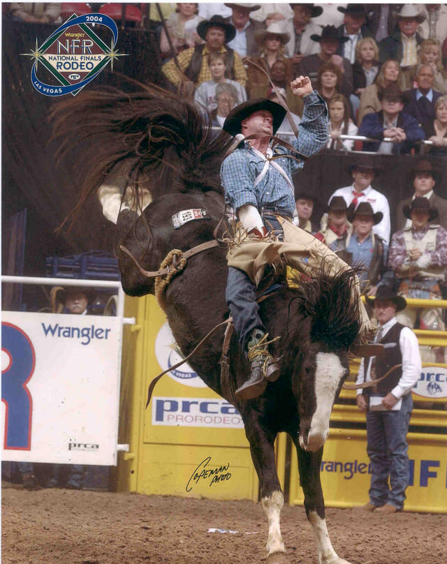 Wild Rodeo and The LIfestyle