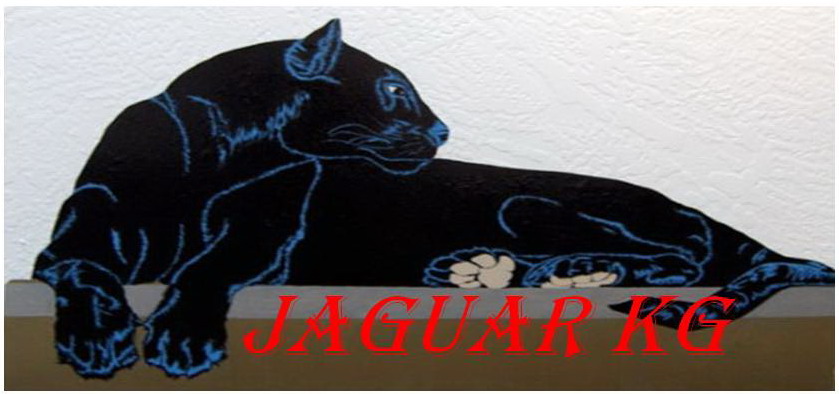 Jaguar KG