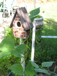 little house for birds
