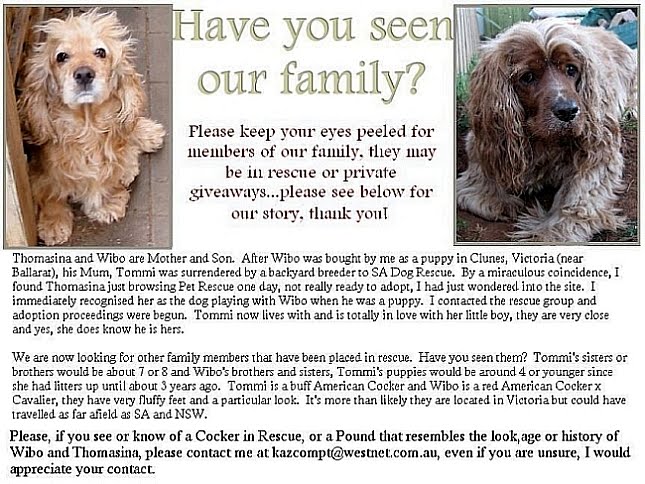 Have You Seen Our Family?