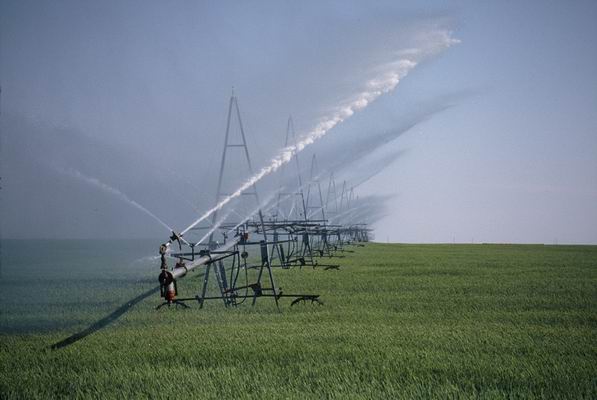 [irrigation.JPG]