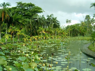 mauritius