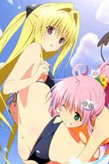 Motto To Love-Ru Trouble Motto To Love-Ru Trouble