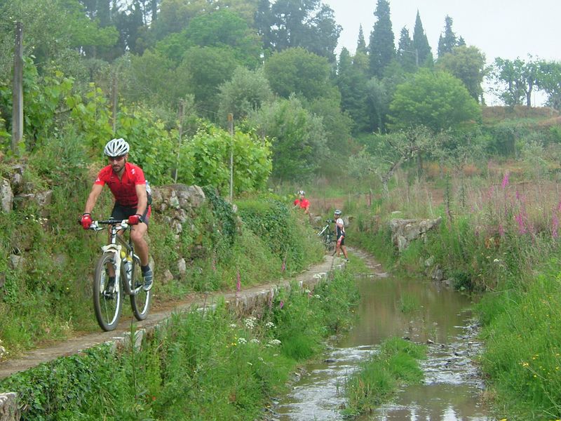 [srt-pedrogão-srt+(2).JPG]