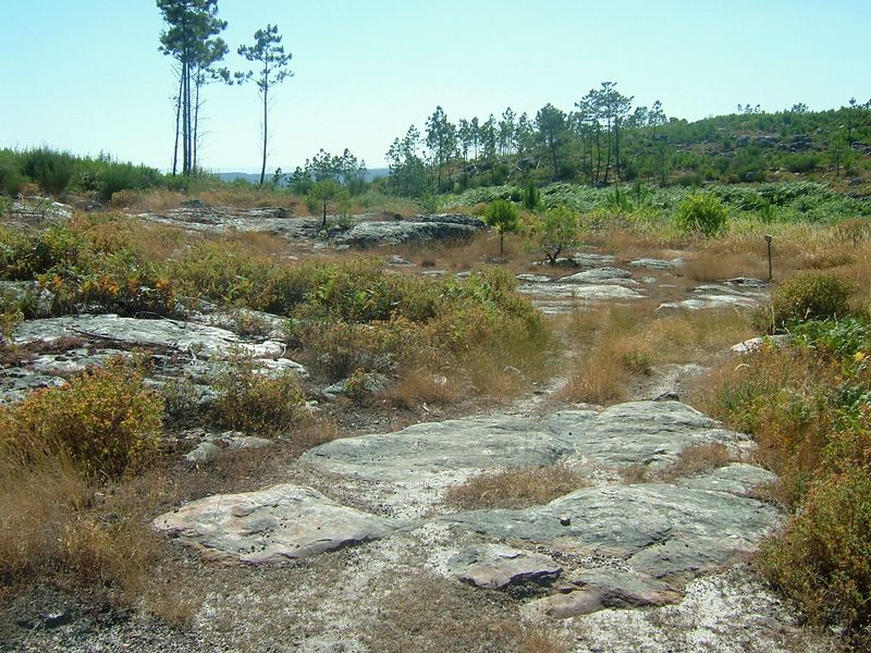 [3º+capitulo+(14).JPG]