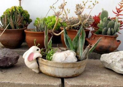 Jardines de cactus y suculentas: Jardin zen con suculentas