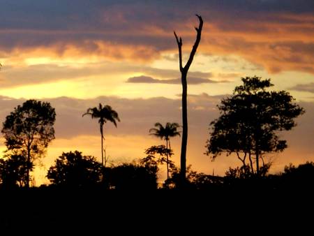 [ocaso_amazonia2.jpg]