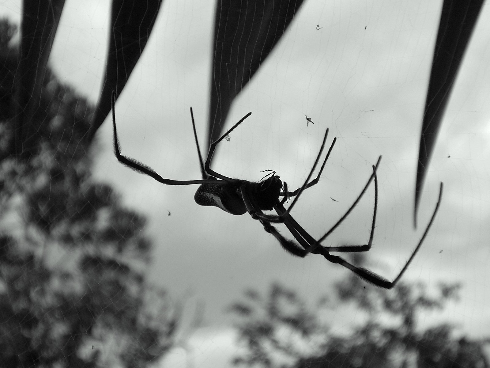 [P3120130.JPG]