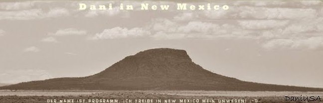 Dani in New Mexico