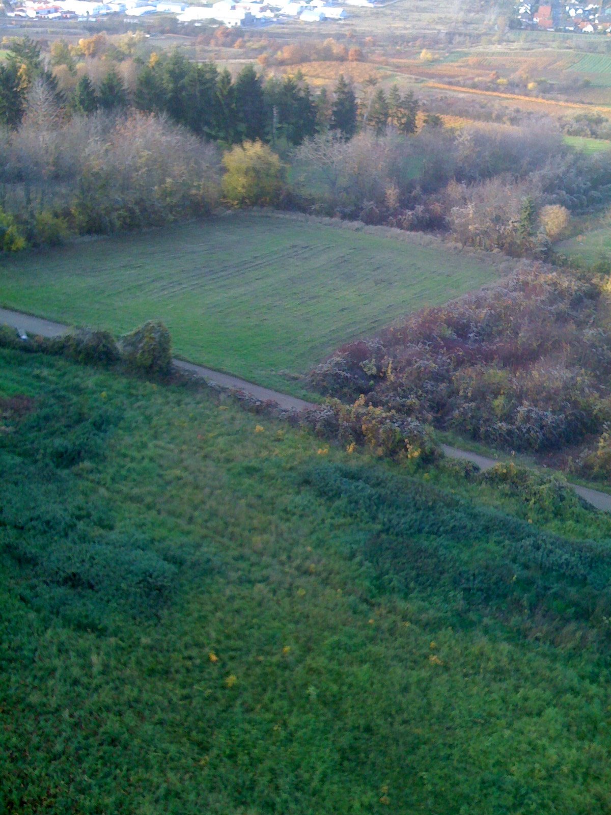 [IMG_0130.JPG]