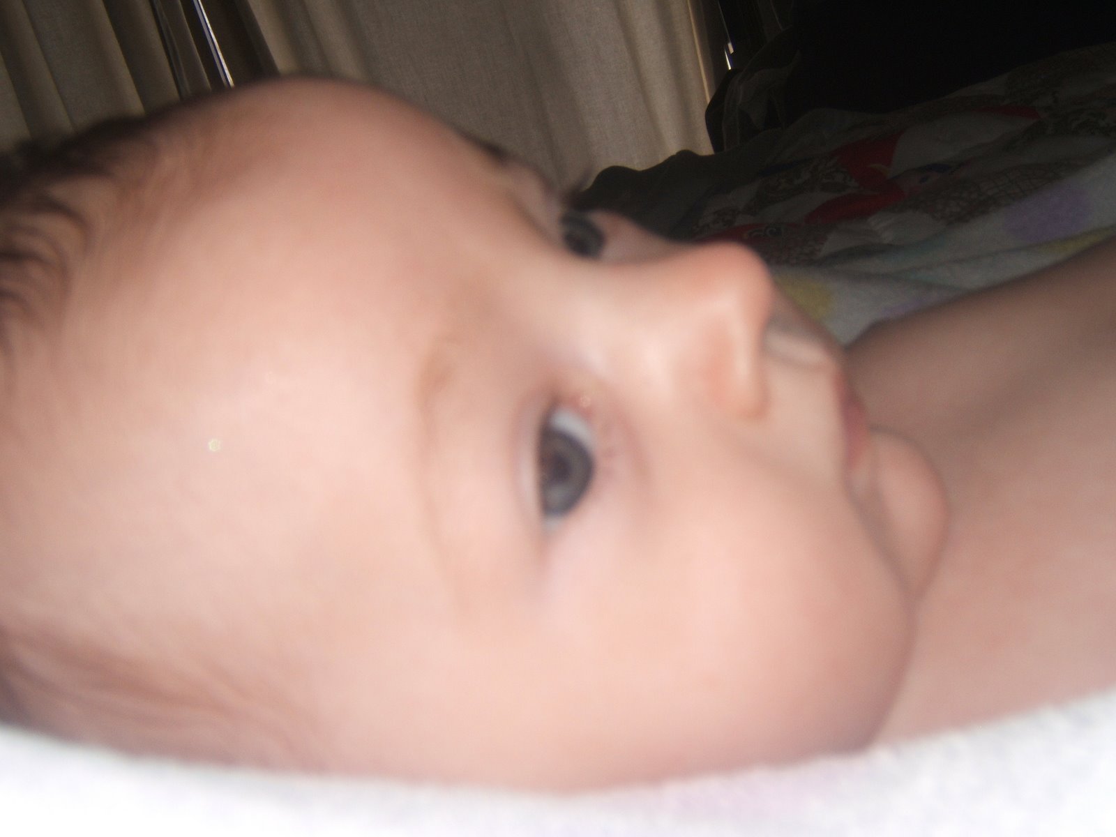 [DSCF0568.JPG]