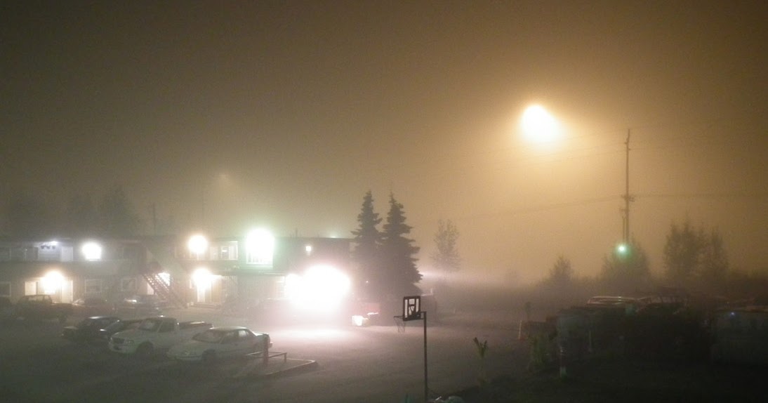 The Show and Tell Nature Blog: A Foggy Night and Evening Light