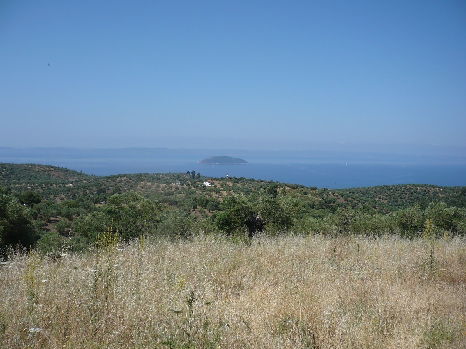 [P1030583.JPG]