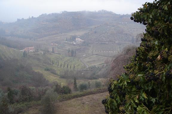 [tuscany1.JPG]